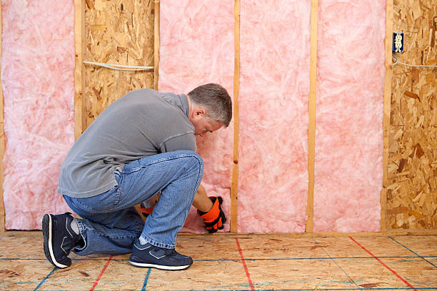Types of Insulation We Offer in Nevada City, CA